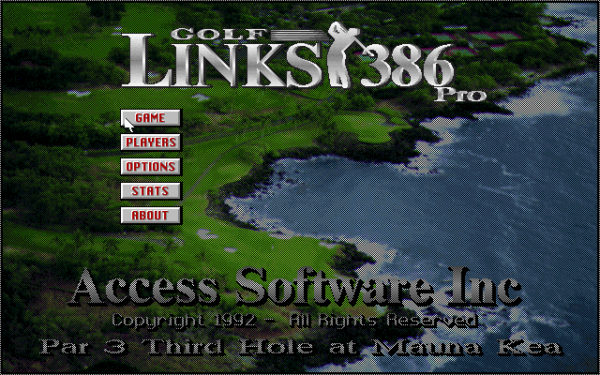 Golf Links 386 Pro - Image 3