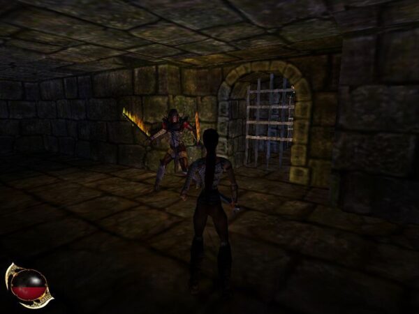 Drakan: Order of the Flame - Image 4