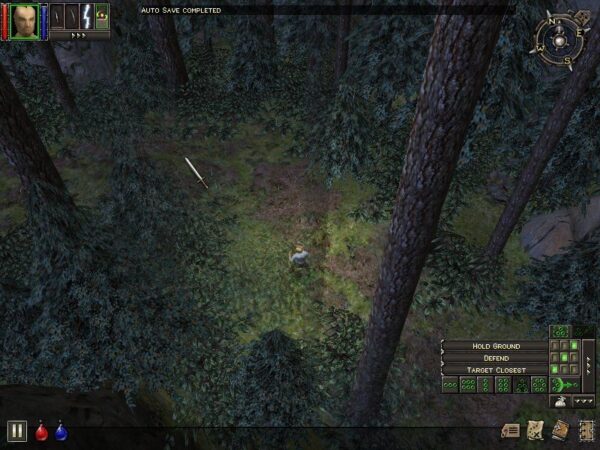 Dungeon Siege - Image 6