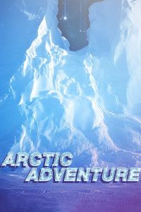 Arctic Adventure