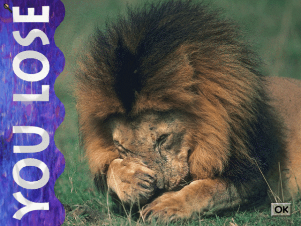 Lion - Image 3