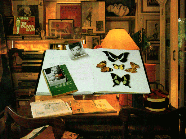 Alice: An Interactive Museum - Image 3