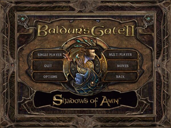 Baldur's Gate II: Shadows of Amn - Image 4