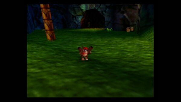 Donkey Kong 64 - Image 5