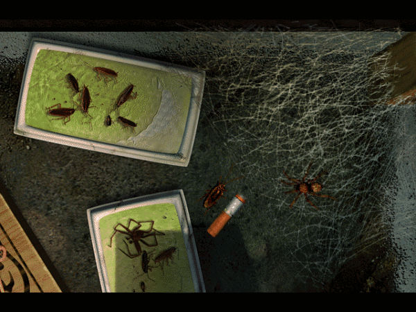 Bad Mojo - Image 3