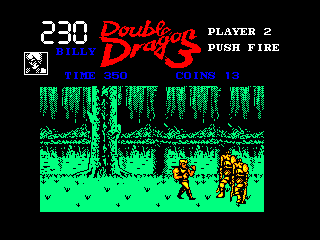 Double Dragon 3: The Rosetta Stone - Image 4