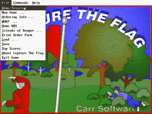 Capture the Flag