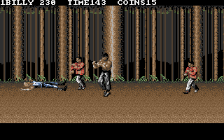 Double Dragon 3: The Rosetta Stone - Image 2