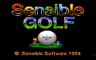 Sensible Golf - Image 6