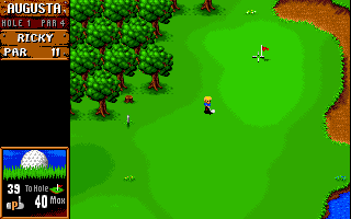 Sensible Golf - Image 4