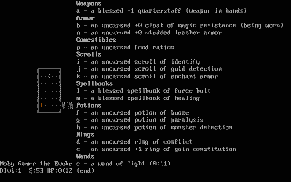 NetHack - Image 4