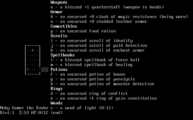 NetHack - Image 4