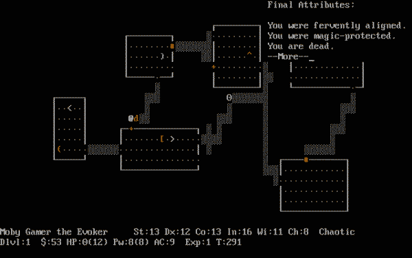 NetHack - Image 3