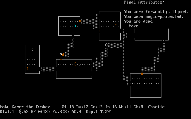 NetHack - Image 3