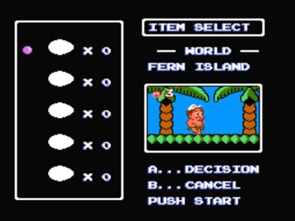 Adventure Island II - Image 3