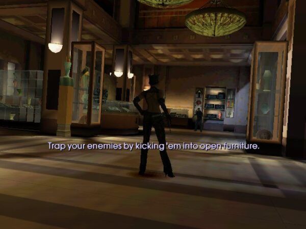 Catwoman - Image 4