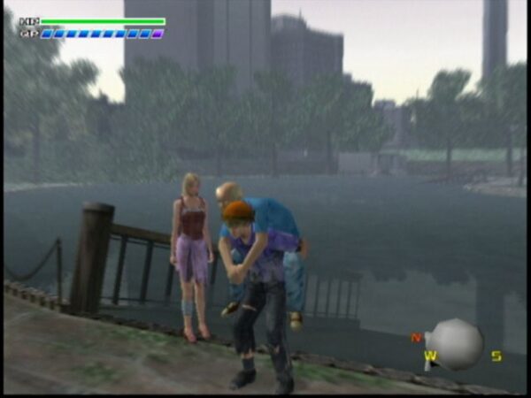 Disaster Report - Image 4