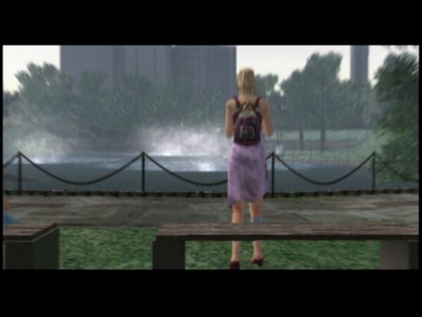 Disaster Report - Image 6
