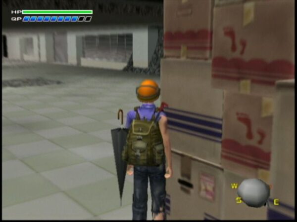 Disaster Report - Image 5