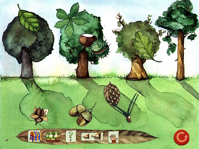 Oscar the Balloonist and the Secrets of the Forest - Image 4