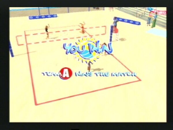 Summer Heat Beach Volleyball - Image 2