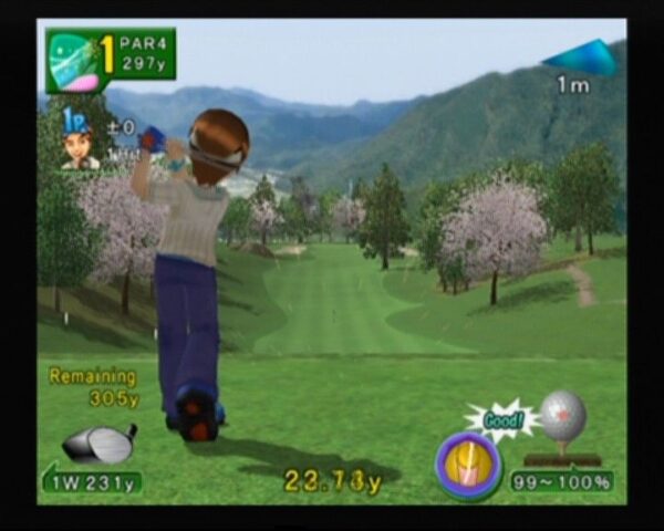 Swingerz Golf - Image 2
