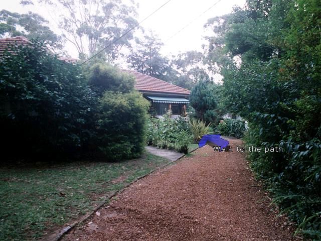 The Sydney Mystery - Image 4