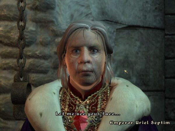 The Elder Scrolls IV: Oblivion - Image 5
