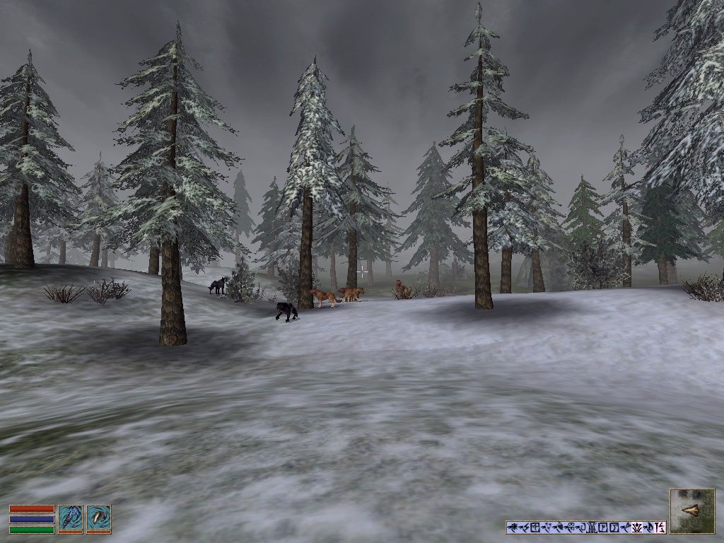 The Elder Scrolls III: Bloodmoon - Image 6