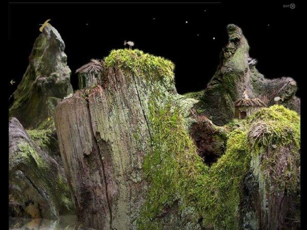 Samorost - Image 4