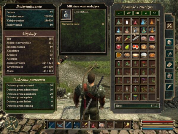 Gothic 3 - Image 5