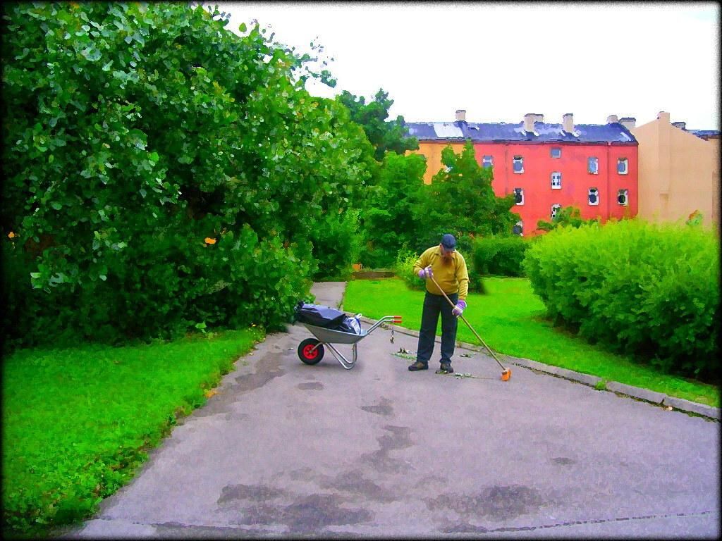 Hope Springs Eternal - Image 2