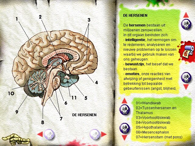 Scuola del Brivido, La: Il piccolo Freakstein - Image 4