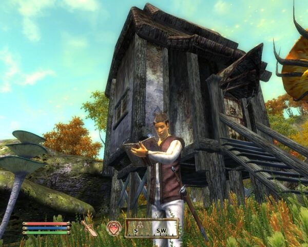 The Elder Scrolls IV: Shivering Isles - Image 2