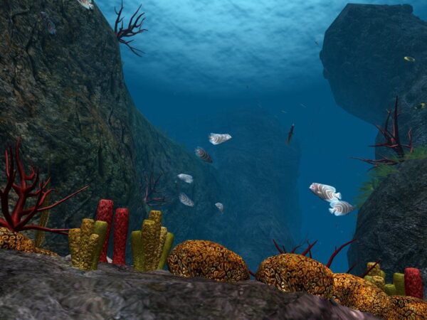 OceanDive - Image 2