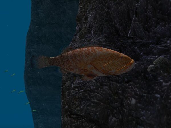 OceanDive - Image 3