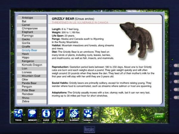 Zoo Vet - Image 3
