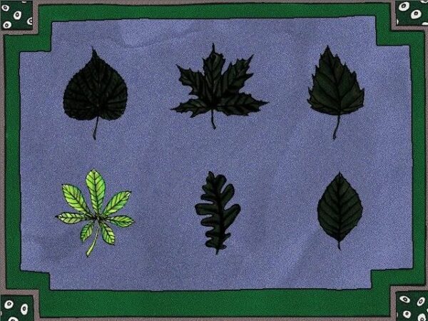 Millie Meter and Her Adventures in the Oak Tree - Image 4