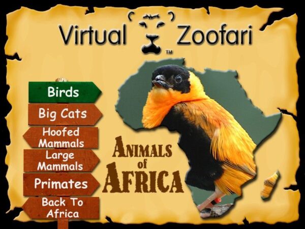 Animals of Africa - Image 5