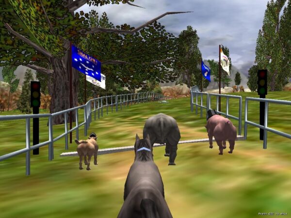 The Zoo Race - Image 6