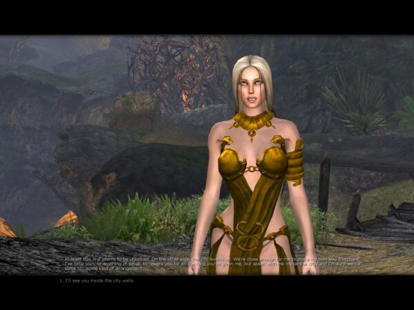 Age of Conan: Hyborian Adventures - Image 4