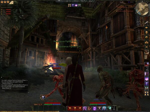 Age of Conan: Hyborian Adventures - Image 6
