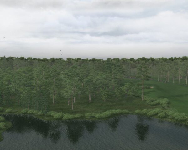 Tiger Woods PGA Tour 08 - Image 3