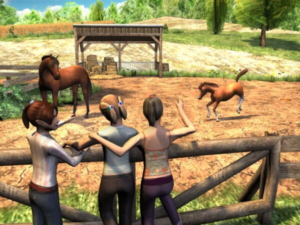 Die Reitakademie: Special Edition - Image 3