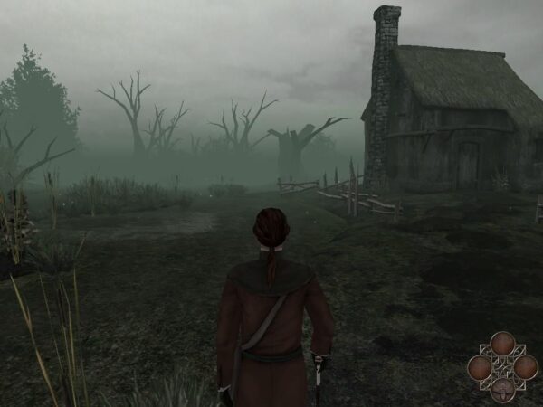 Dead Reefs - Image 6