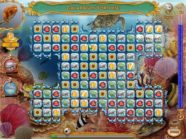 Eco-Match - Image 6