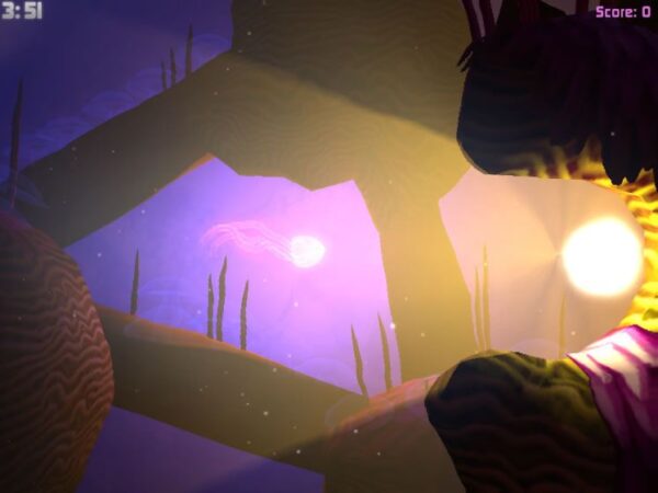 Blush - Image 6