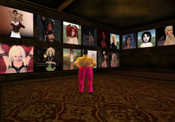 Second Life - Image 5