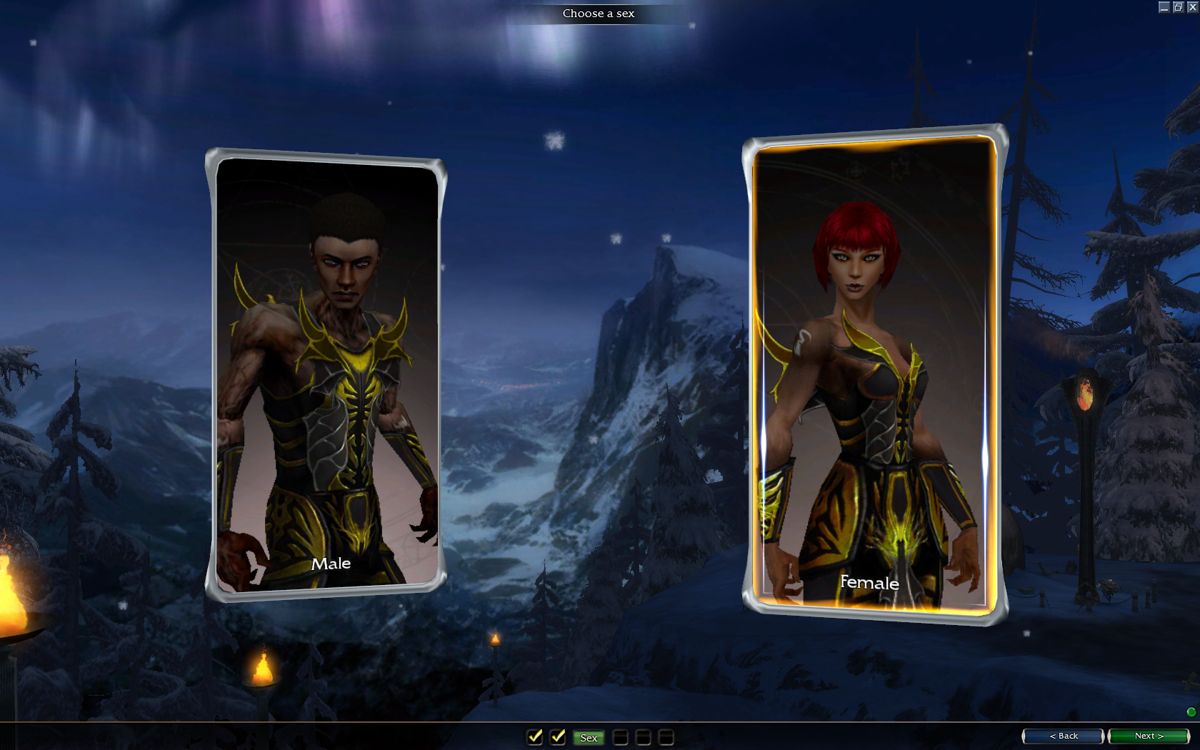 Guild Wars: PvP Access Kit - Image 3
