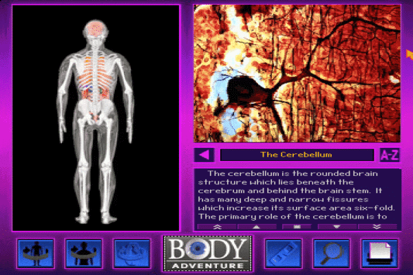 3-D Body Adventure - Image 6